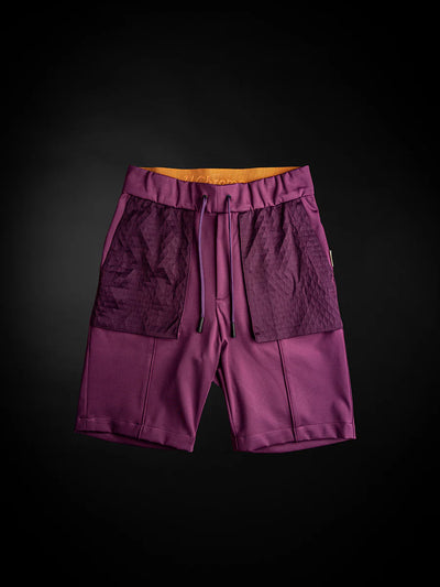 Italian Plum / 38