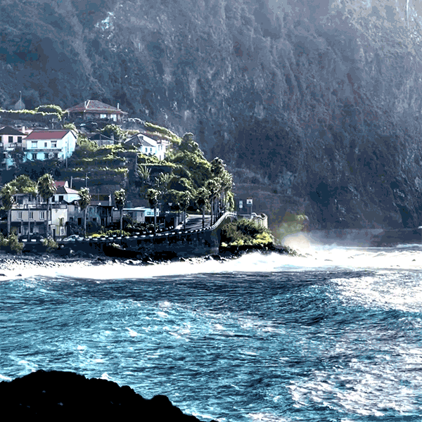 Madeira: My Secret Jurassic Park in Europe