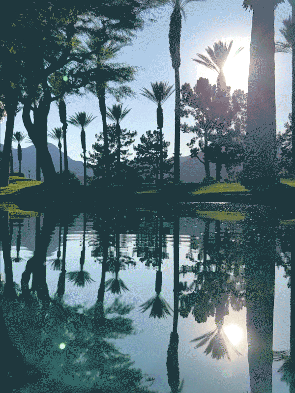 The Classic Cool of Palm Springs