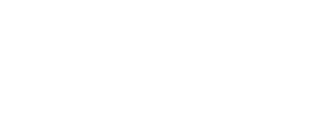 Y.Chroma Apparel