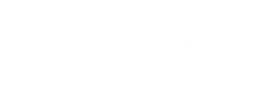 Y.Chroma Apparel