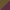 Dark Military Olive and Italian Plum