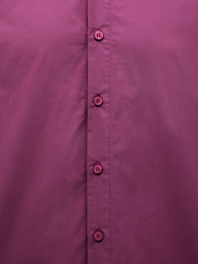 Italian Plum
