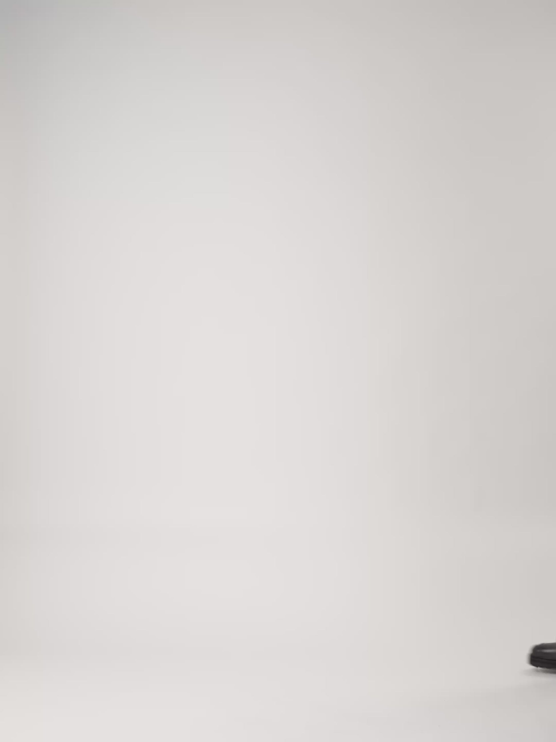 Ghost Geisha Down Jacket