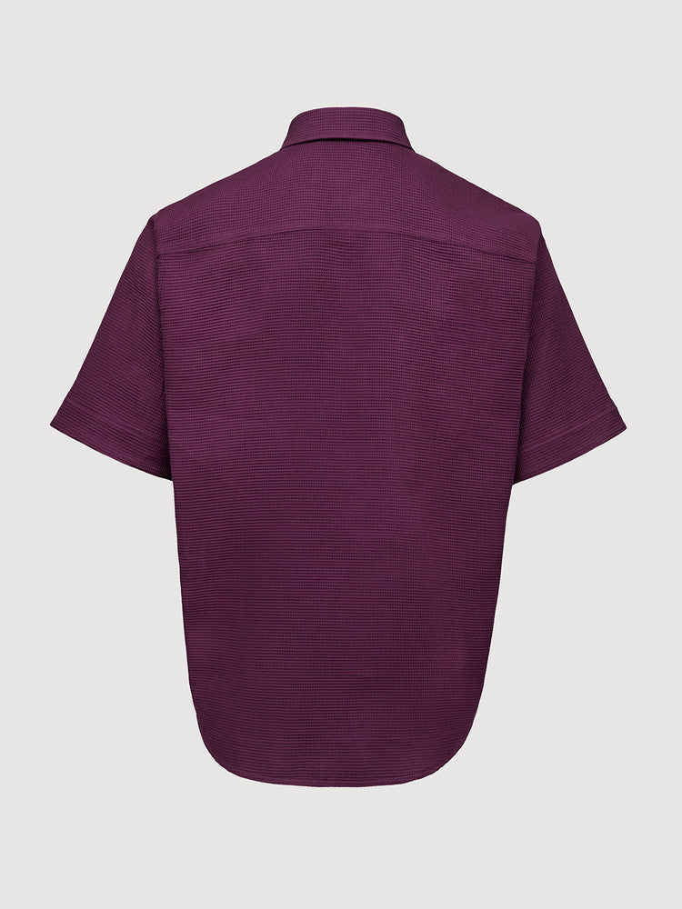 Italian Plum