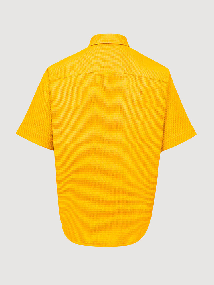 Spectra Yellow