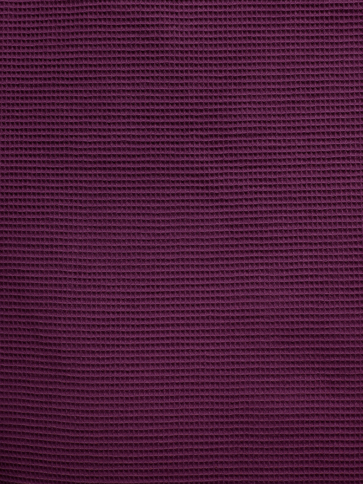 Italian Plum