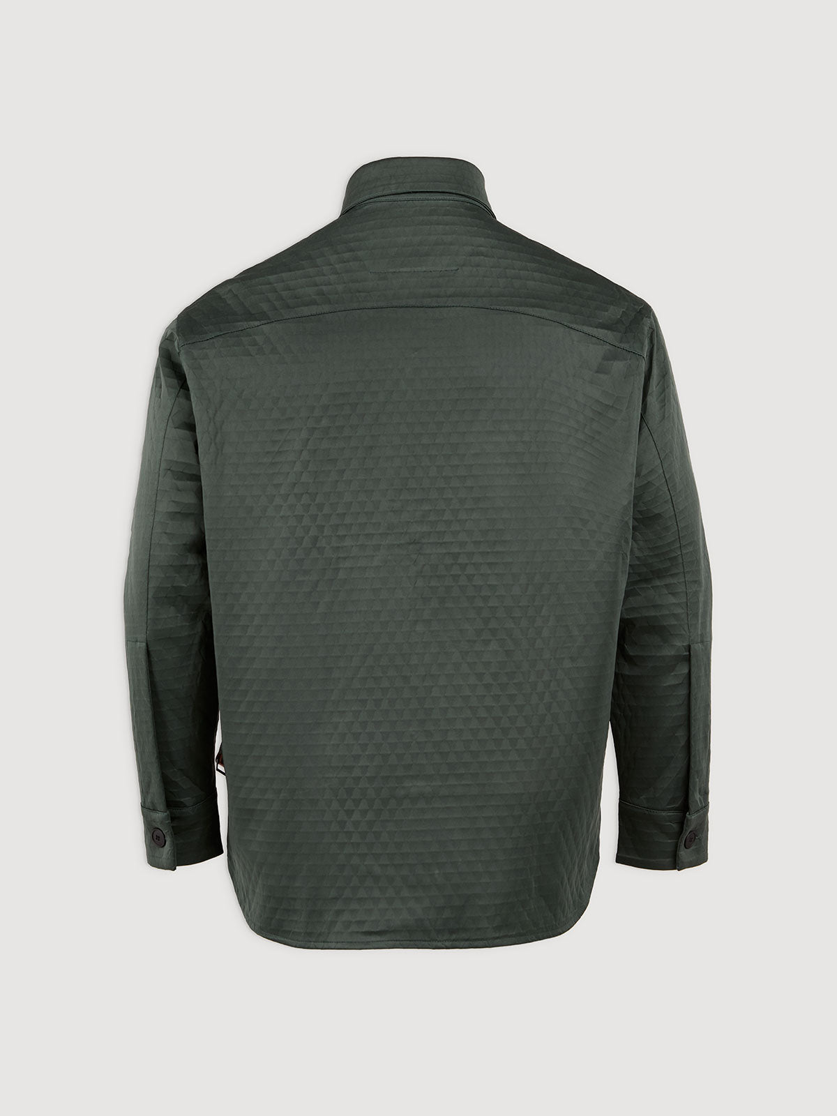 Dark Military Olive and Italian Plum