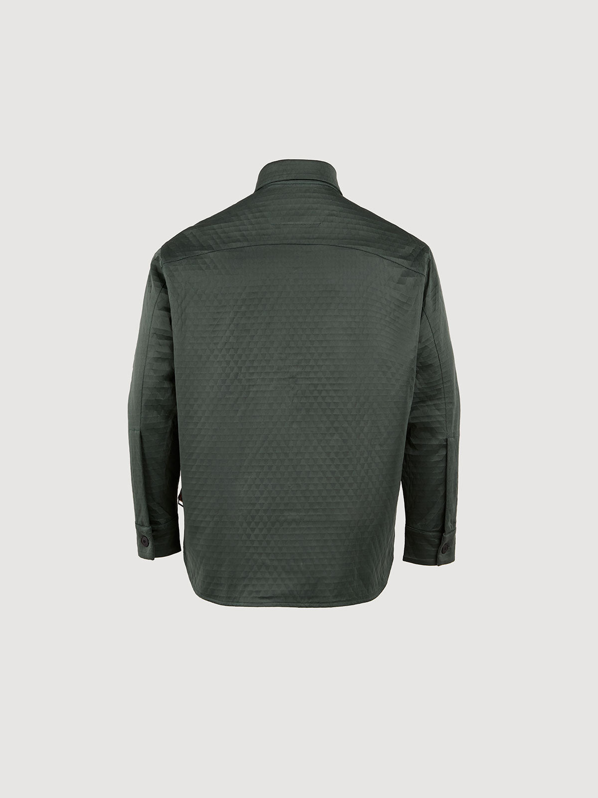 Dark Military Olive and Italian Plum