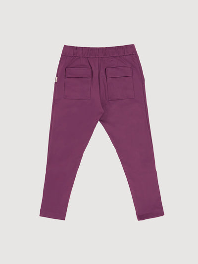 Italian Plum
