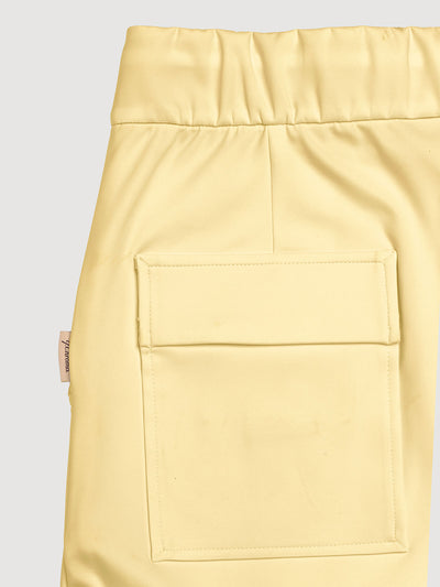 Soybean