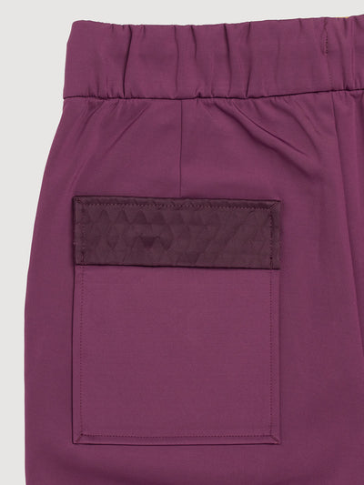 Italian Plum