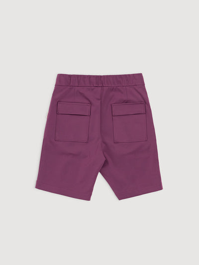 Italian Plum