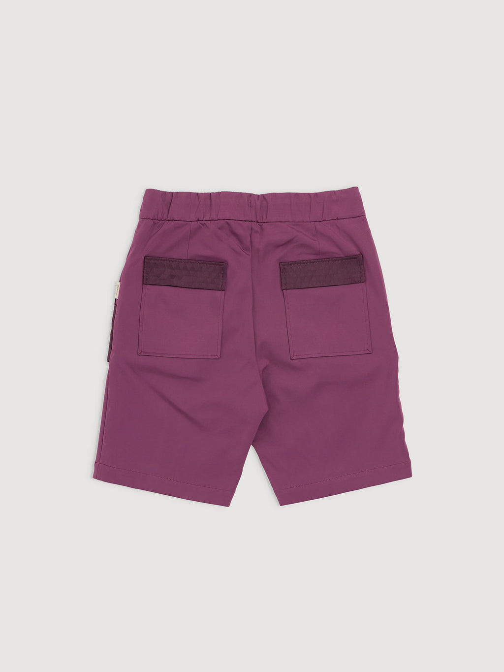 Italian Plum