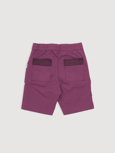 Italian Plum