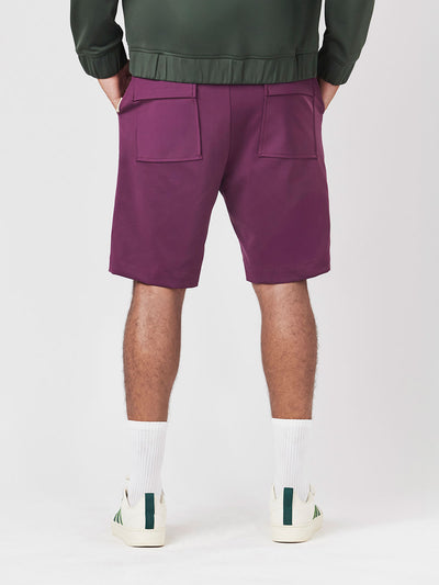Italian Plum