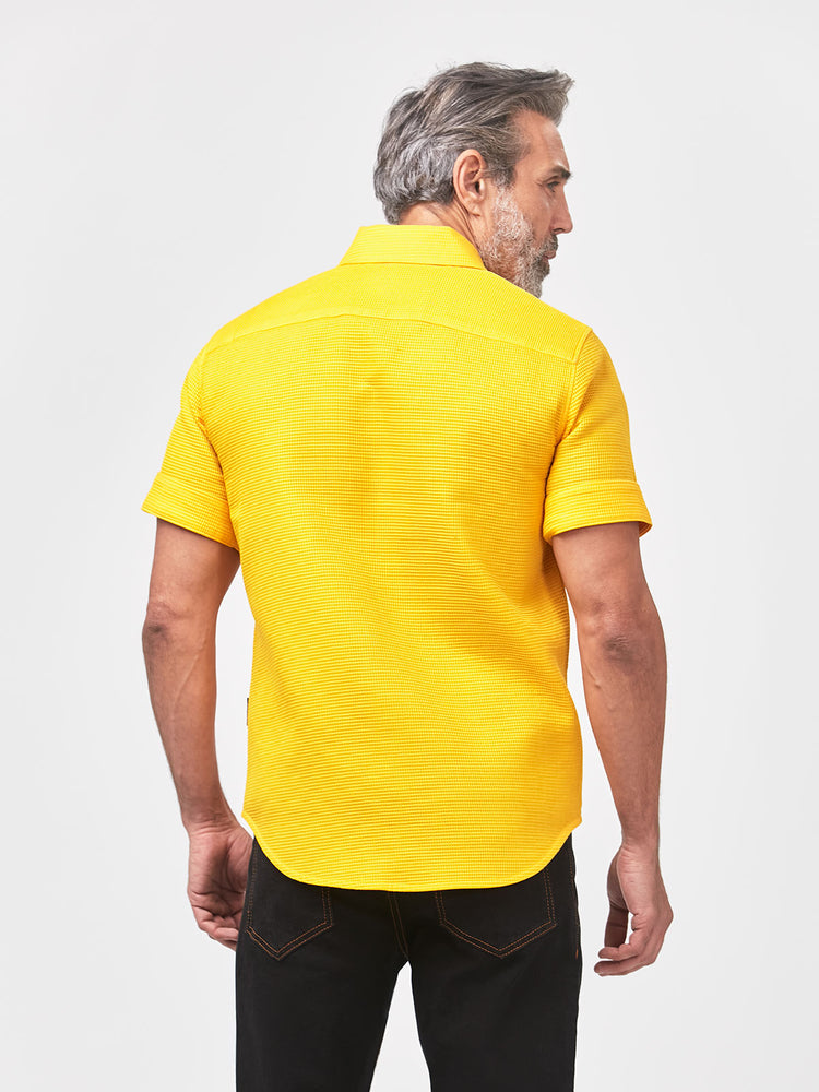 Spectra Yellow